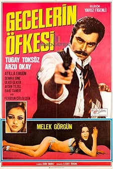 Gecelerin Öfkesi (1971) afişi