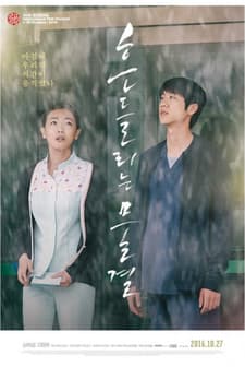 Blossom (2016) afişi