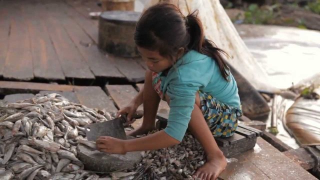 A River Changes Course fotoğrafı