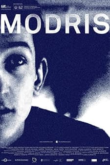 Modris (2014) afişi