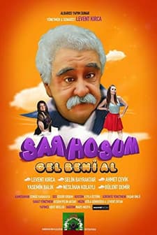 Sarhoşum, Gel Beni Al (2015) afişi