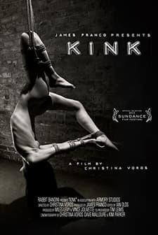 Kink (2013) afişi