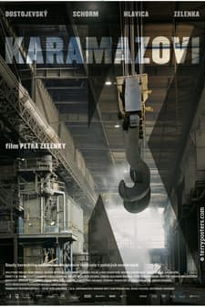 Karamazovi (2008) afişi