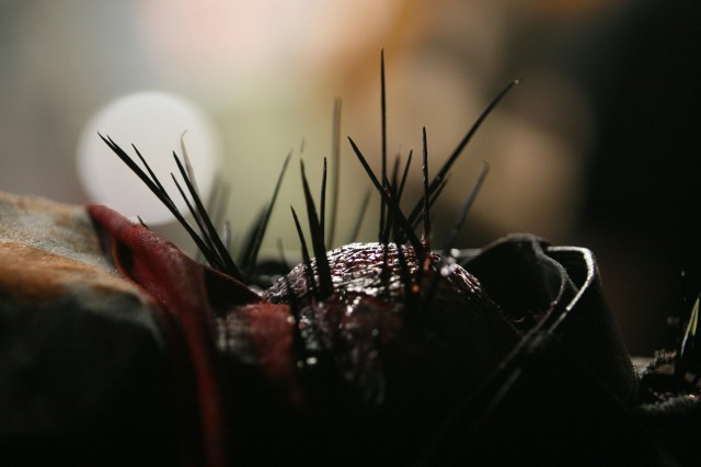 Kıymık Fotoğrafı