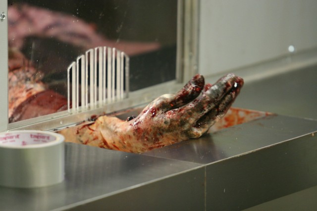 Kıymık Fotoğrafı