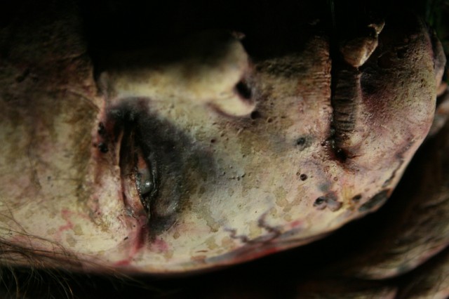 Kıymık Fotoğrafı