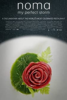 Noma: My Perfect Storm (2015) afişi