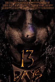 13 Days (2016) afişi