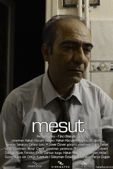 Mesut (2013) afişi
