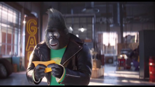 Şarkını Söyle Fotoğrafı