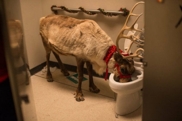 Şarkını Söyle Fotoğrafı