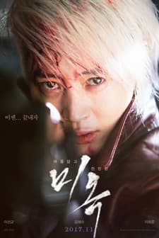 A Special Lady (2017) afişi