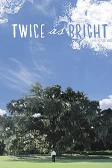 Twice As Bright (2010) afişi