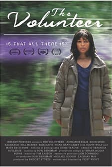 The Volunteer (2013) afişi