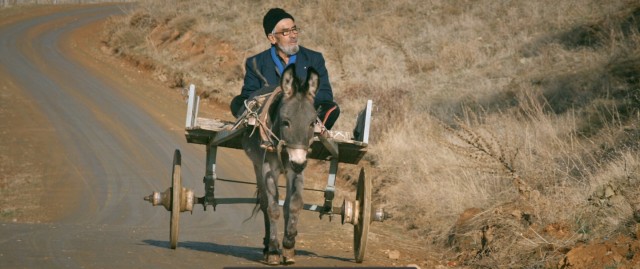 Arama Moturu Fotoğrafı