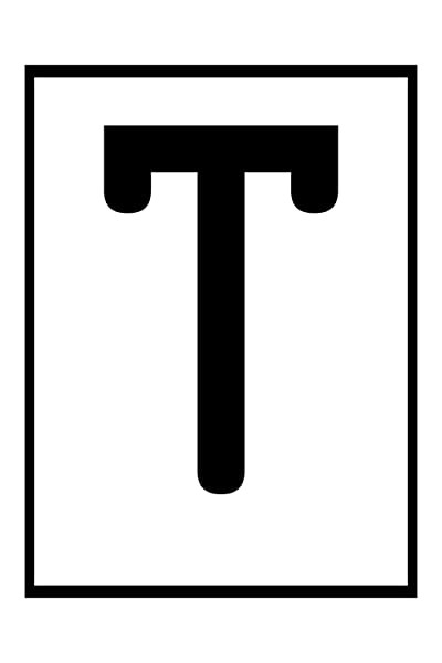 T: Ghosts in the Machine (2017) afişi