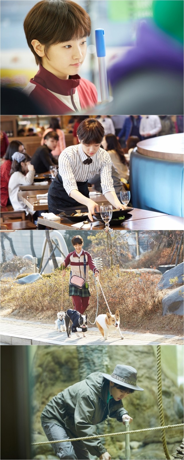 Cinderella and Four Knights Fotoğrafı