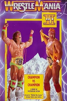 WrestleMania 6 (1990) afişi