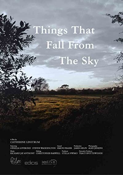 Things That Fall from the Sky (2016) afişi