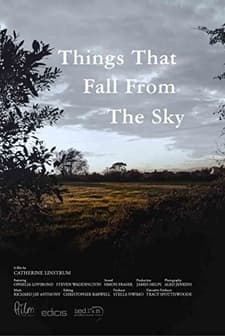 Things That Fall from the Sky (2016) afişi