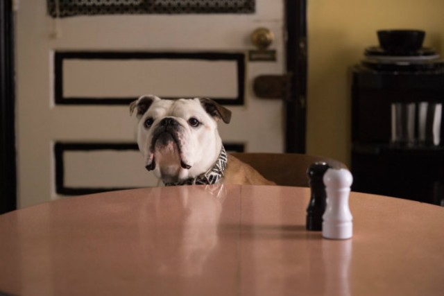 Paterson Fotoğrafı