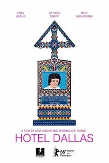Hotel Dallas (2016) afişi