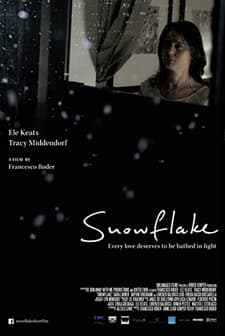 Snowflake (2014) afişi