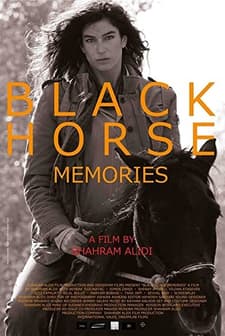 Kara At Hatıraları (2015) afişi