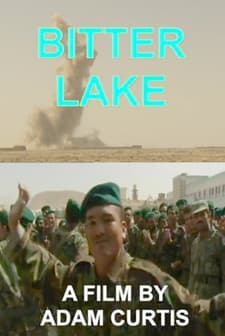 Acı Göl (2015) afişi