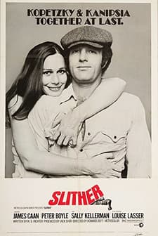 Dolandırıcı (1973) afişi