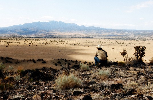İhtiyarlara Yer Yok Fotoğrafı