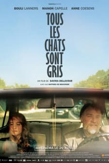 Tous Les Chats Sont Gris (2014) afişi