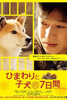 Himawari ve Yavrularının 7 Günü (2012) afişi