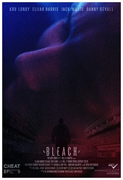 Bleach (2016) afişi