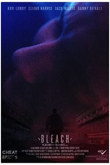 Bleach (2016) afişi
