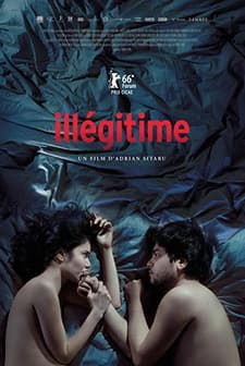 Gayrimeşru (2016) afişi