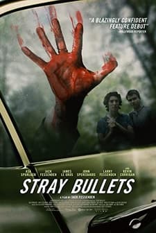 Stray Bullets (2016) afişi