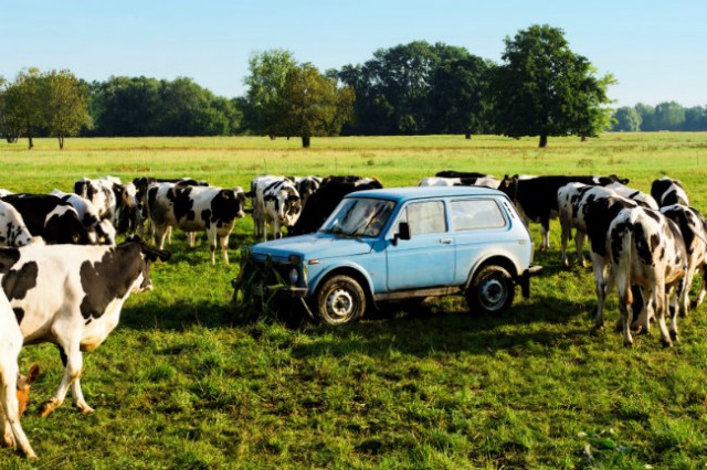 Elveda Berlin Fotoğrafı