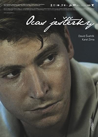 Kanatsız (2009) afişi