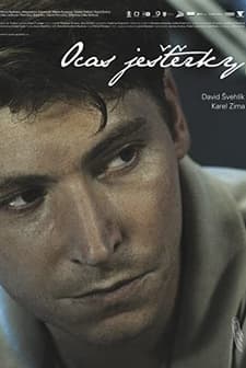 Kanatsız (2009) afişi