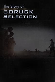 Selection (2015) afişi