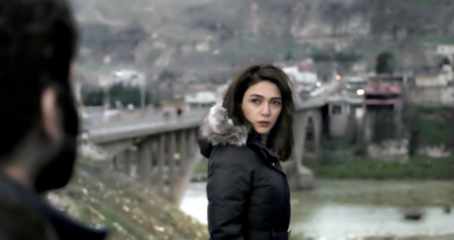 Siyah Karga Fotoğrafı