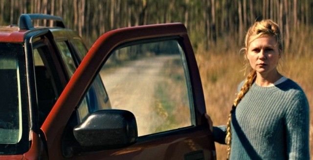 Siyah Karga Fotoğrafı