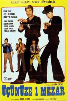 Üçünüze Bir Mezar (1971) afişi