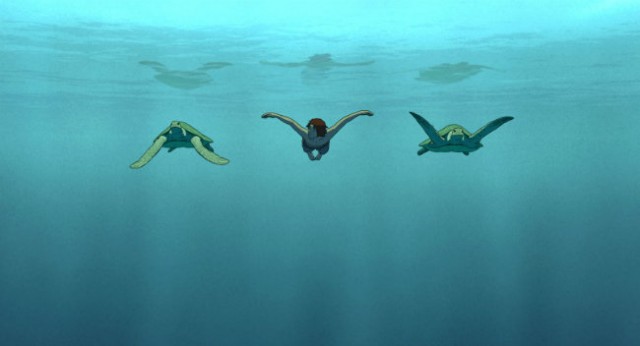 Kırmızı Kaplumbağa Fotoğrafı