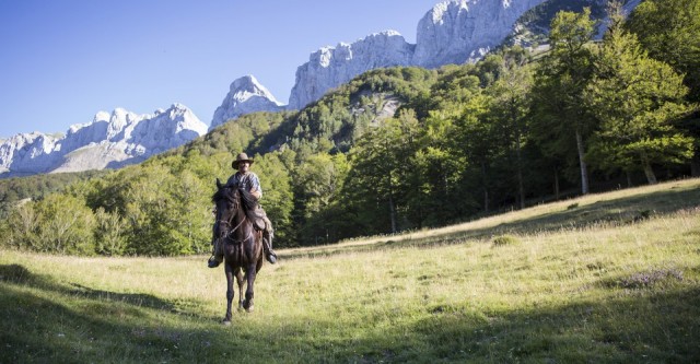 Sisters Biraderler Fotoğrafı