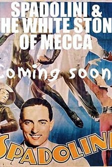 Spadolini and the White Stone of Mecca (2017) afişi