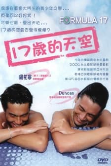 Formula 17 (2004) afişi