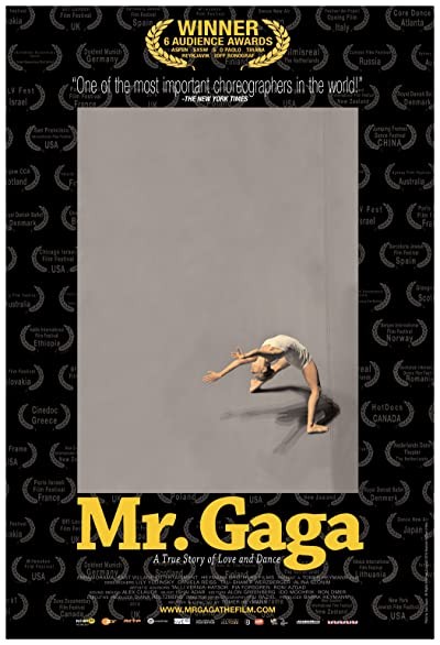 Mr. Gaga (2015) afişi