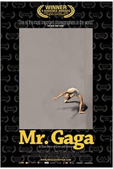 Mr. Gaga (2015) afişi